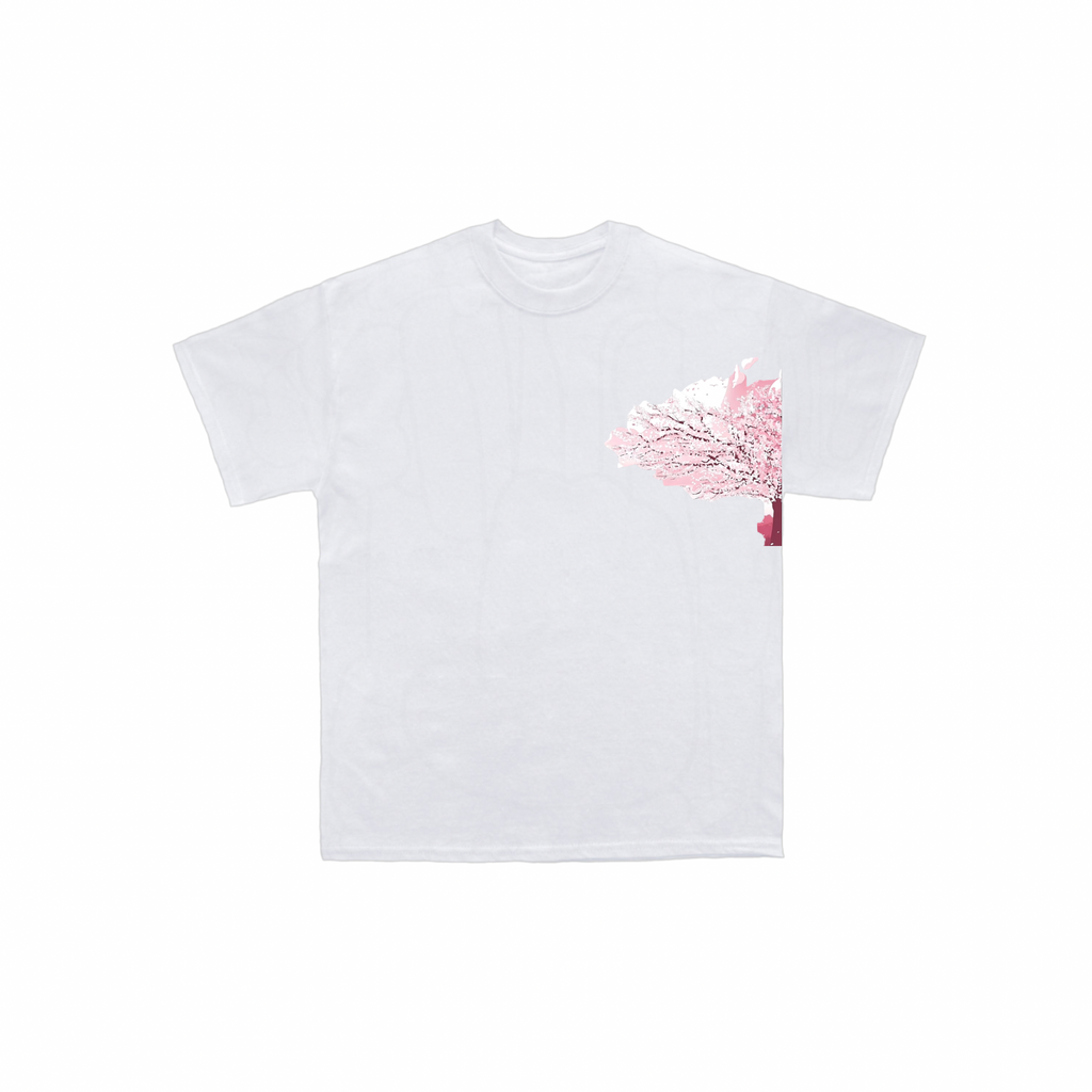 BNB Japan cherry blossom