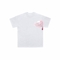 BNB Japan cherry blossom