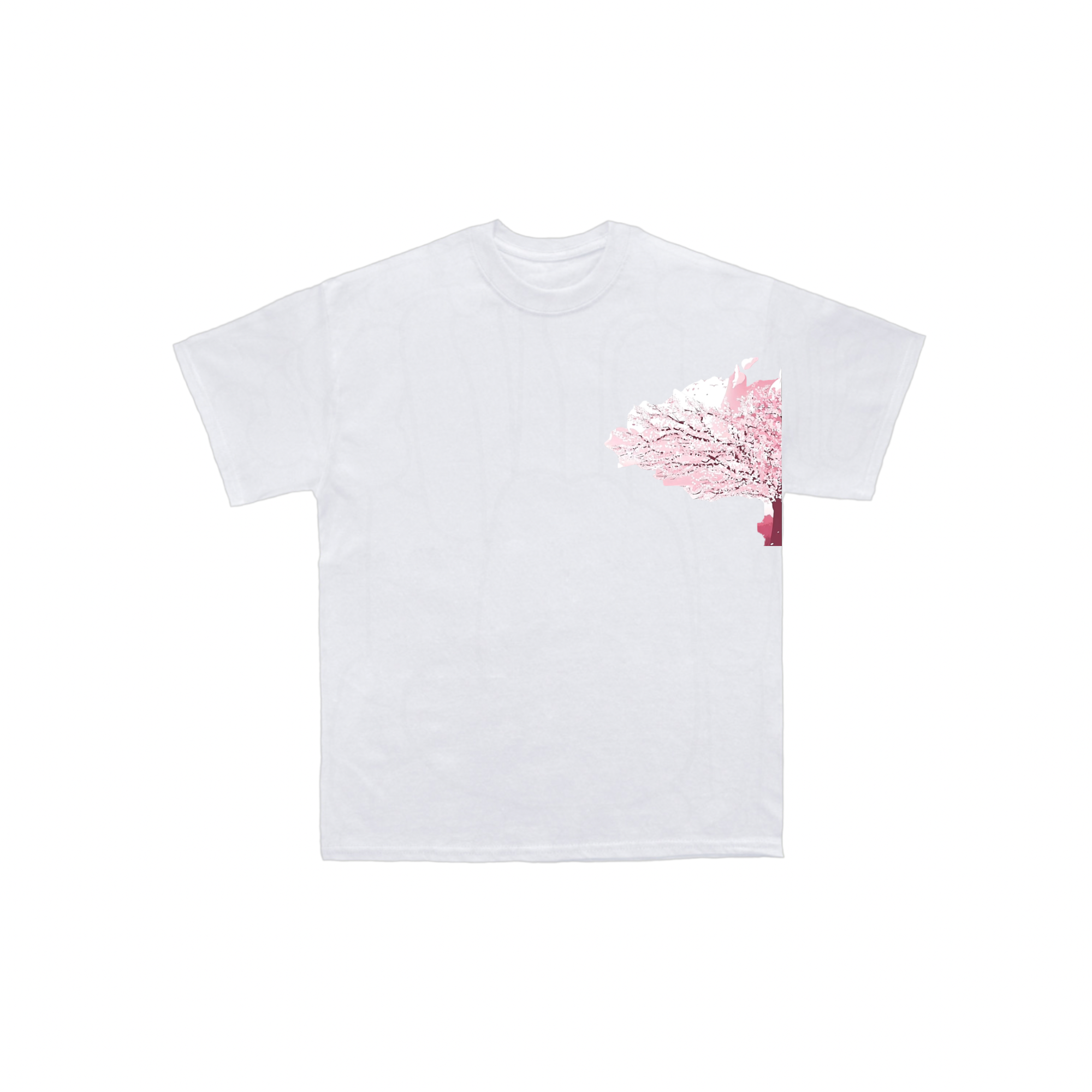 BNB Japan cherry blossom