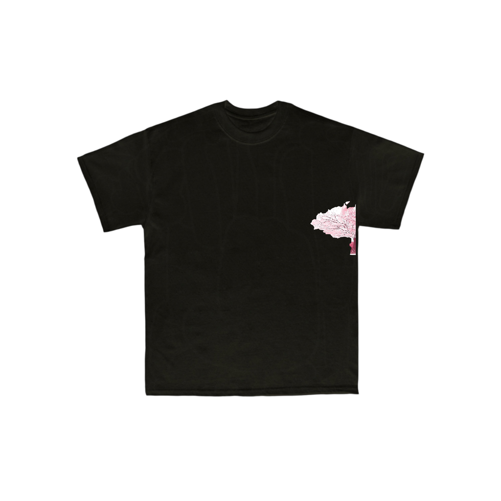 BNB Japan cherry blossom