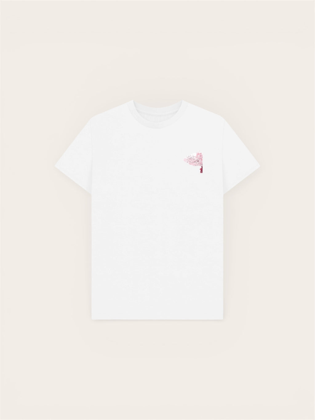 BNB Japan cherry blossom