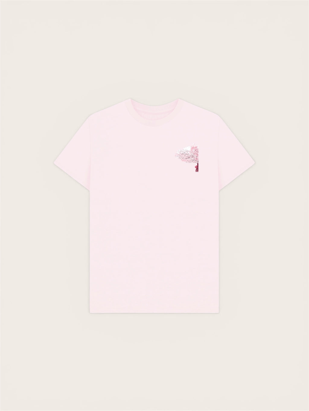 BNB Japan cherry blossom