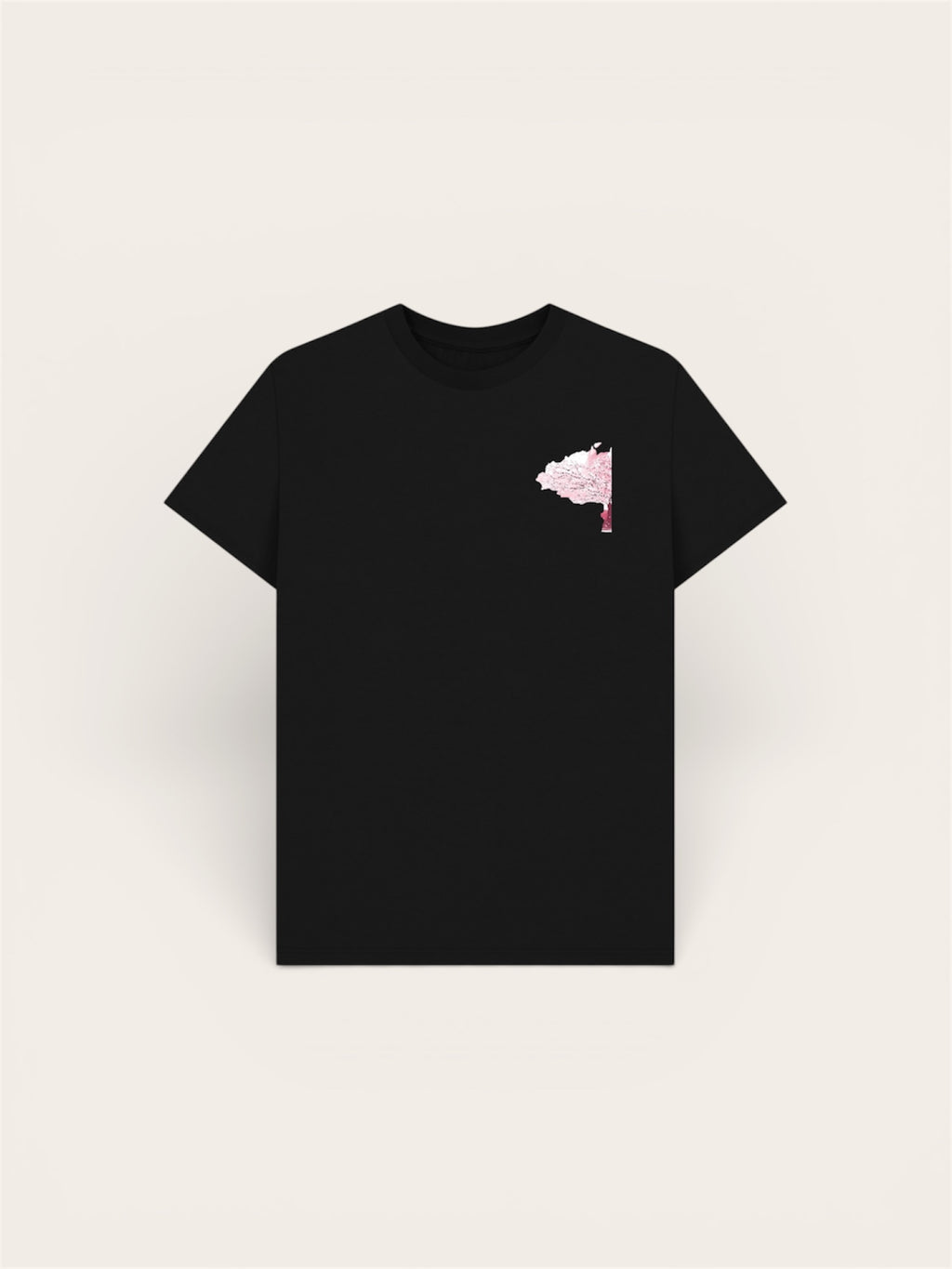 BNB Japan cherry blossom