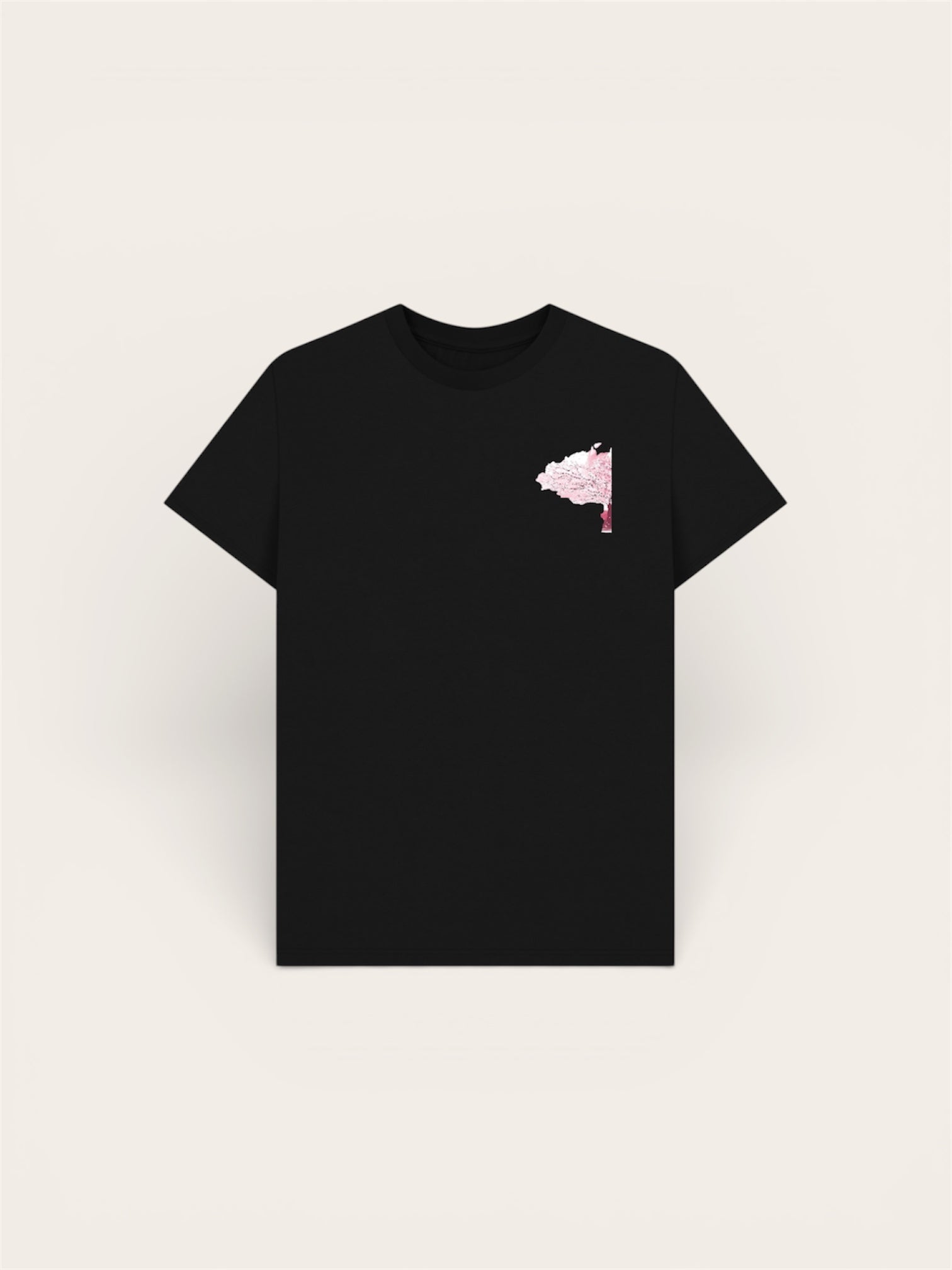 BNB Japan cherry blossom