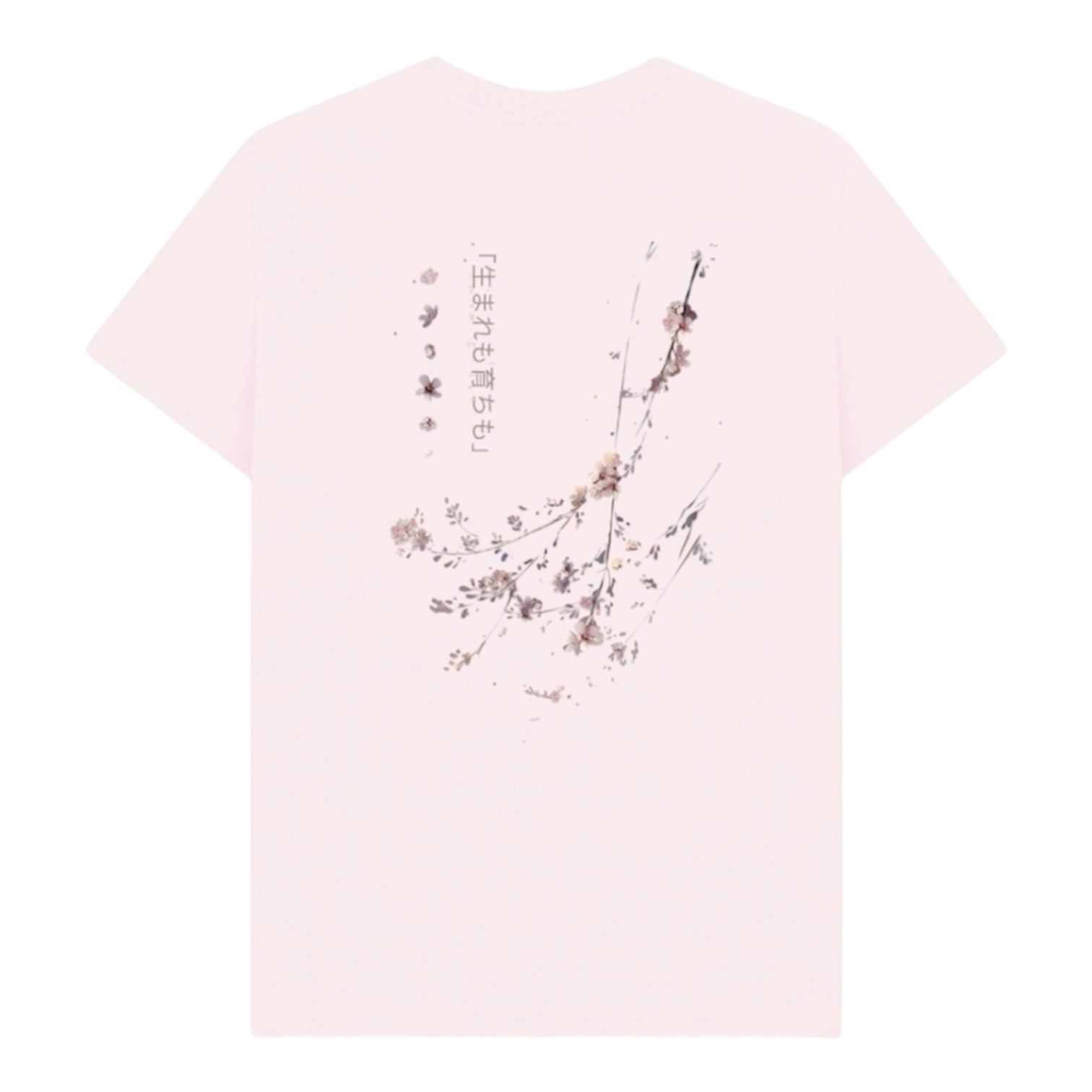 BNB Japan cherry blossom
