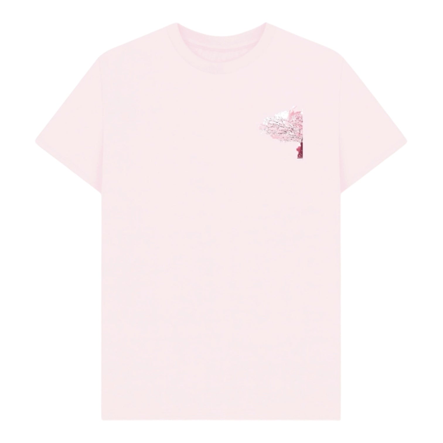 BNB Japan cherry blossom
