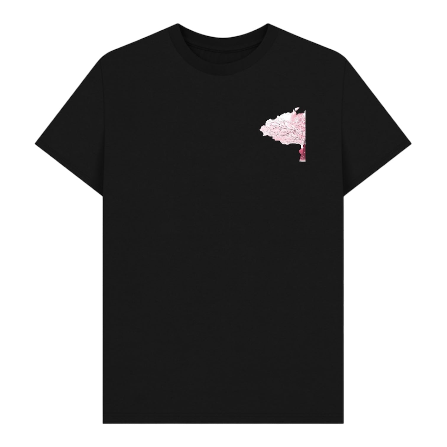 BNB Japan cherry blossom